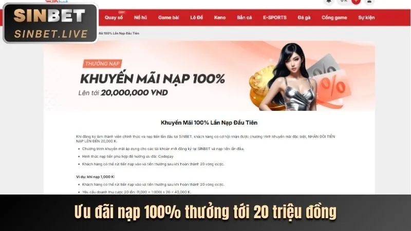 Chính sách cookie của 123b link vào